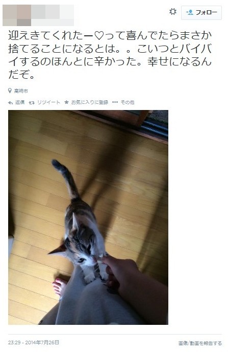 「飼い猫を捨てた！」女子高生がツイッターで宣言:まさか捨てることになるとは。。こいつとバイバイするのほんとに辛かった。幸せになるんだぞ