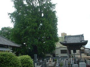 写真 写真