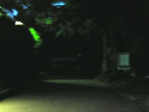 写真 写真