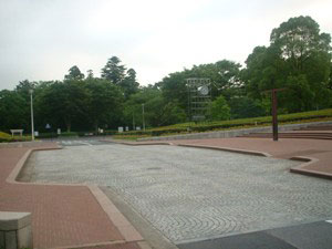 写真 写真