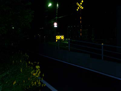 写真 写真