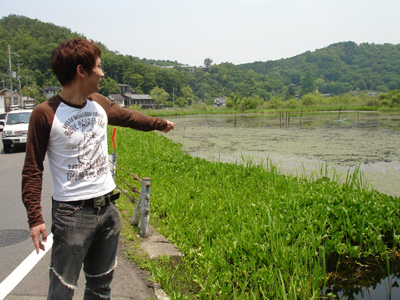 写真