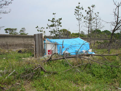 写真 写真