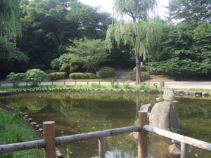 写真 写真