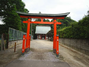 写真 写真