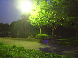 写真 写真