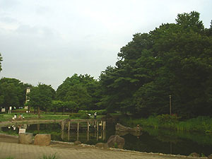 写真 写真