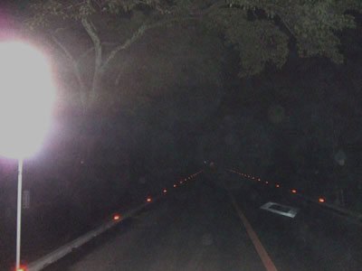 写真 写真