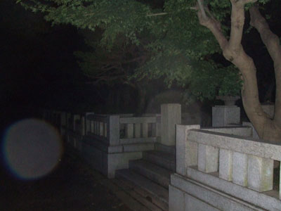 写真 写真