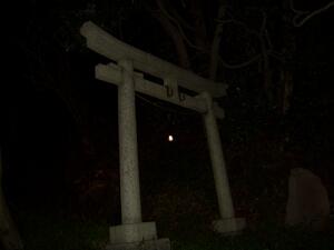 写真 写真