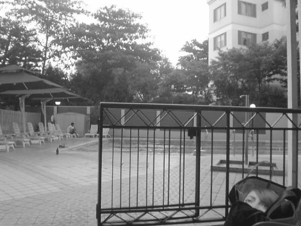 写真 写真