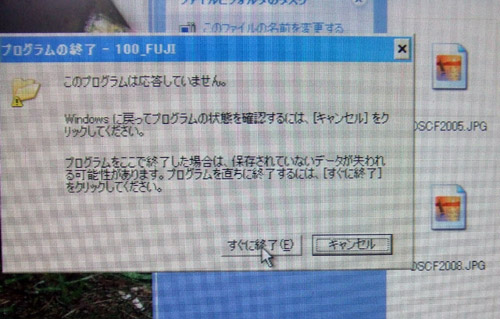 写真 写真