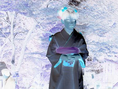 写真 西垣葵