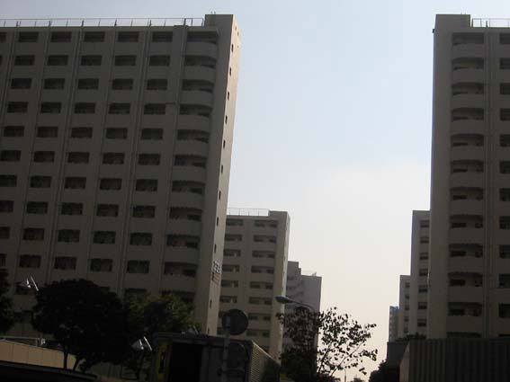 写真 写真