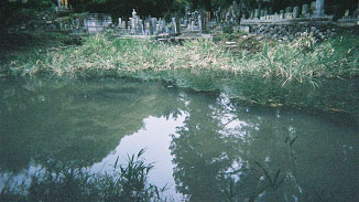写真 西垣葵