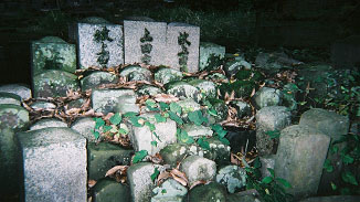 写真 西垣葵