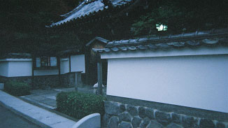写真 西垣葵