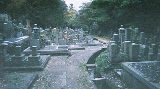写真 西垣葵