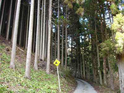 写真 写真