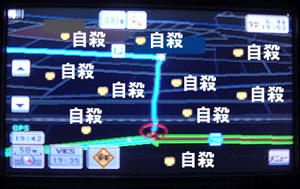 写真 写真