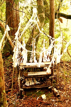 日本最強の呪術師が住む村 境内裏手に組まれた“いざなぎ流”の祭壇