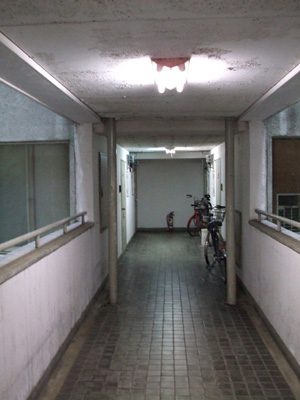 写真 写真
